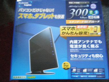 LAN-W300N/P